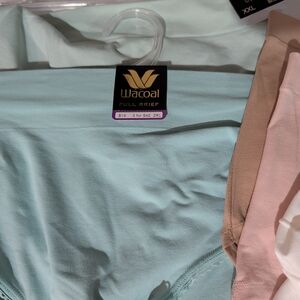 Wacoal Full Brief Panty - Soft Blue